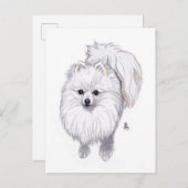 Doggust 2019 Pommeren Briefkaart (Voorkant / Achterkant)