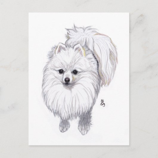 Doggust 2019 Pommeren Briefkaart (Voorkant)