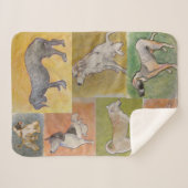 Doggy Blanket Sherpa Deken (Voorkant (horizontaal))