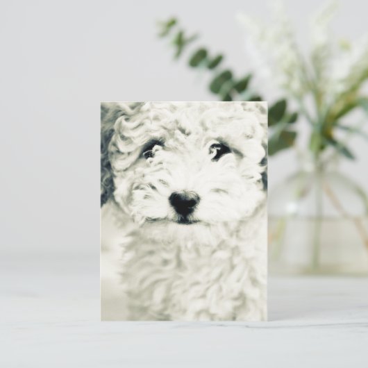 Doggy Briefkaart (Staand voorkant)