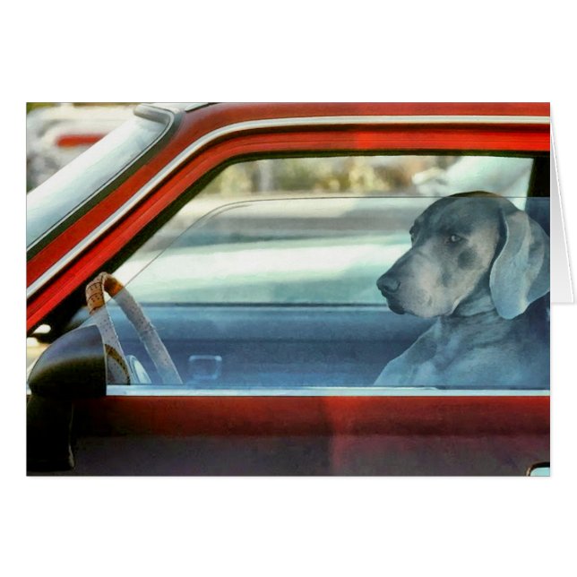 Doggy-chauffeur (Voorkant Horizontaal)