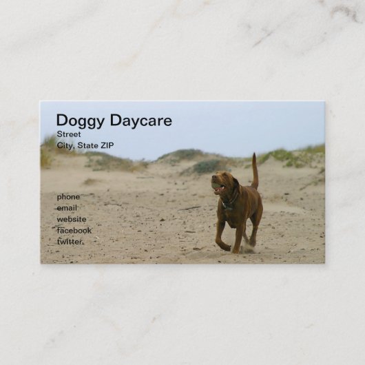 Doggy Daycare Visitekaartje (Voorkant)