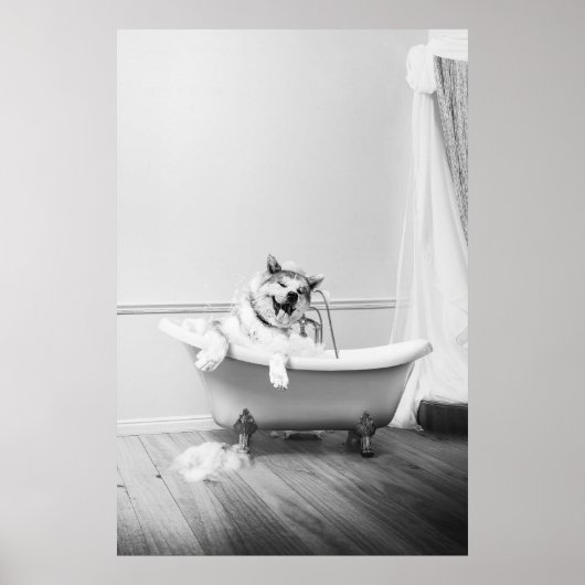 Doggy in een Poster in bad (Voorkant)