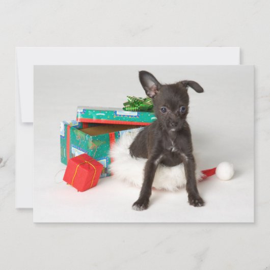 Doggy kerstcadeau feestdagenkaart (Voorkant)