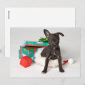 Doggy kerstcadeau feestdagenkaart (Voorkant / Achterkant)