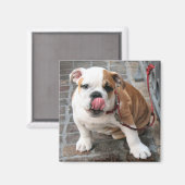 Doggy Kisses Magneet (Voorkant / Achterkant)