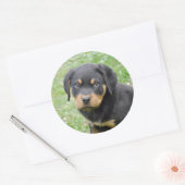 Doggy McDogface Rottweiler Puppy Ronde Sticker (Envelop)