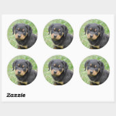 Doggy McDogface Rottweiler Puppy Ronde Sticker (Vel)