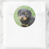 Doggy McDogface Rottweiler Puppy Ronde Sticker (Tas)