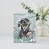 Doggy Paddle Briefkaart (Staand voorkant)