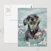 Doggy Paddle Briefkaart (Voorkant / Achterkant)