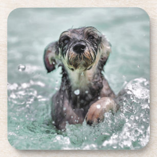 Doggy Paddle Cute Dog Swimming Bier Onderzetter