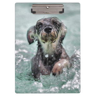 Doggy Paddle Cute Dog Swimming Klembord