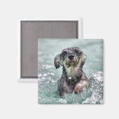 Doggy Paddle Cute Dog Swimming Magneet (Voorkant / Achterkant)