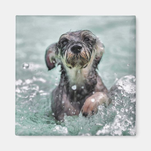 Doggy Paddle Cute Dog Swimming Magneet (Voorkant)