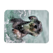 Doggy Paddle Cute Dog Swimming Magneet (Horizontaal)