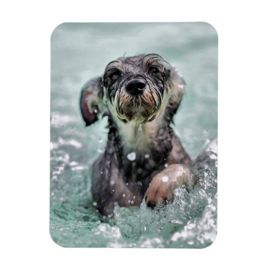 Doggy Paddle Cute Dog Swimming Magneet (Verticaal)