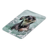 Doggy Paddle Cute Dog Swimming Magneet (Linkerzijde)
