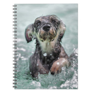Doggy Paddle Cute Dog Swimming Notitieboek