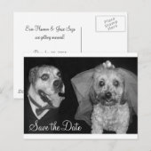 Doggy Save the Date Aankondigingskaart (Voorkant / Achterkant)
