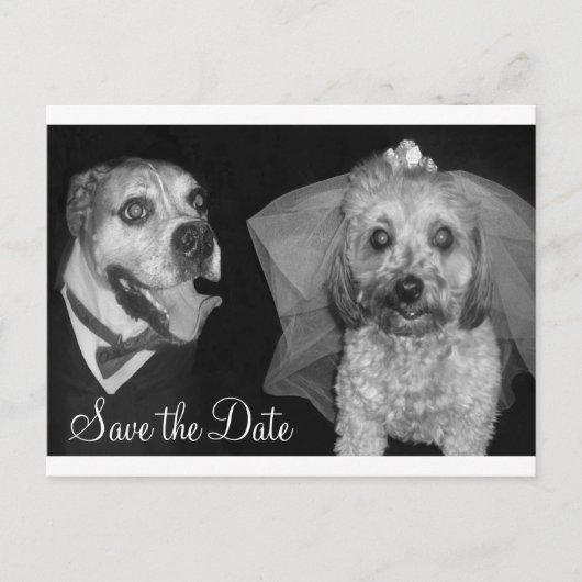 Doggy Save the Date Aankondigingskaart (Voorkant)