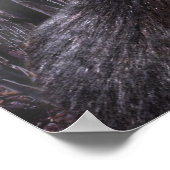 Dogman Poster (Hoek)