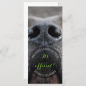 Dognose Rack Kaarten (Voorkant / Achterkant)