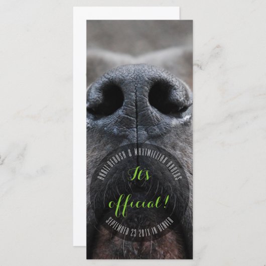 Dognose Rack Kaarten (Voorkant / Achterkant)