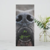 Dognose Rack Kaarten (Staand voorkant)