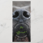 Dognose Rack Kaarten (Voorkant)