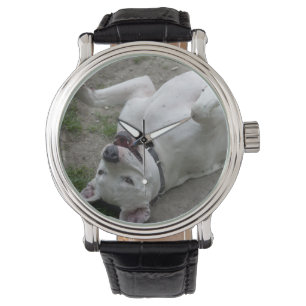 Dogo Argentino afspelen Horloge