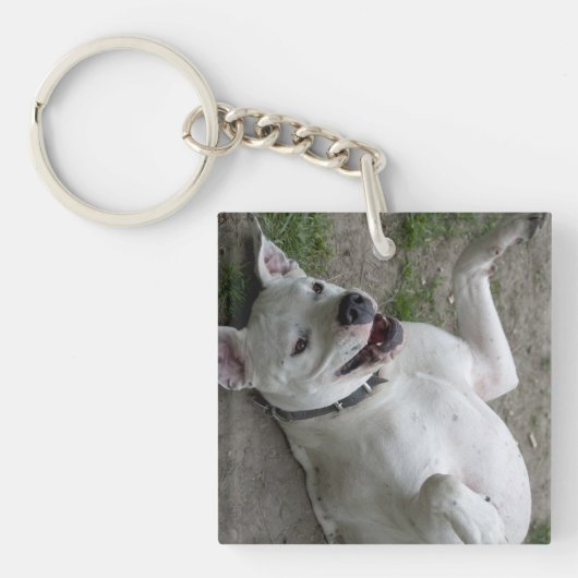 Dogo Argentino afspelen Sleutelhanger (Voorkant)