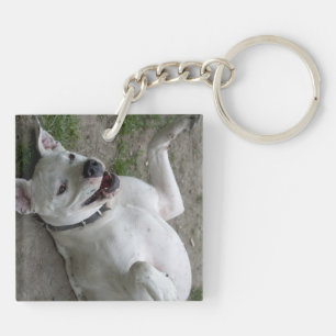 Dogo Argentino afspelen Sleutelhanger
