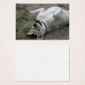 Dogo Argentino afspelen Visitekaartjes (Voorkant /achterkant)