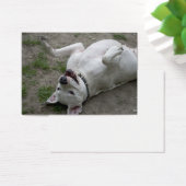 Dogo Argentino afspelen Visitekaartjes (Bureau)