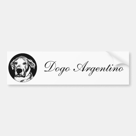 Dogo argentino bumpersticker (Voorkant)