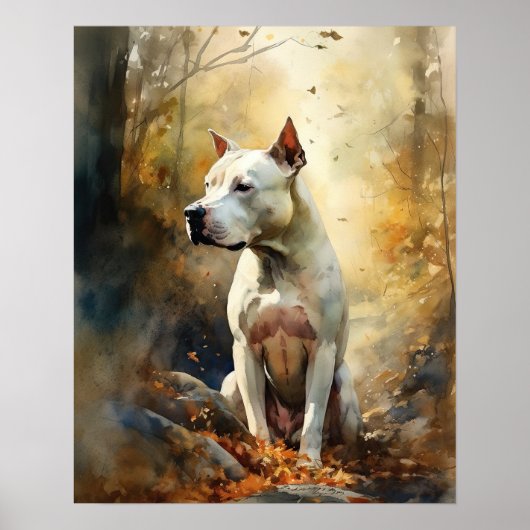 Dogo Argentino Dog Art Print Poster (Voorkant)