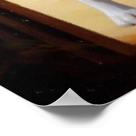 Dogo Argentino Dog Poster (Hoek)