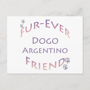 Dogo Argentino Furever Briefkaart