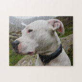 Dogo argentino legpuzzel (Horizontaal)