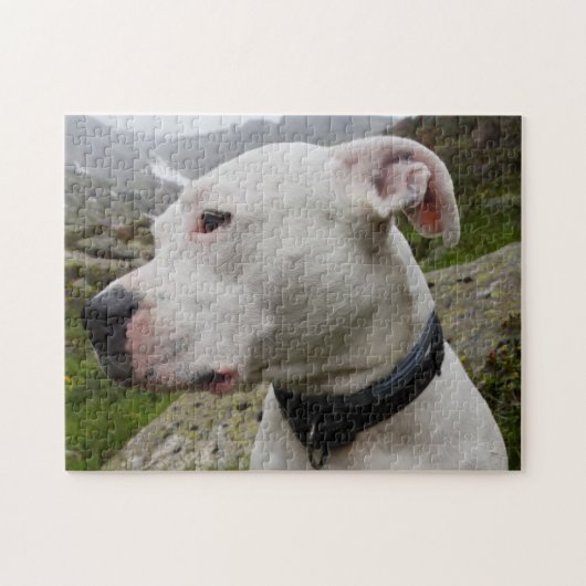 Dogo argentino legpuzzel (Horizontaal)