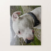 Dogo argentino legpuzzel (Verticaal)
