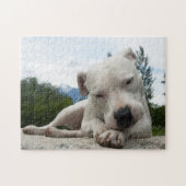 Dogo Argentino  Legpuzzel (Horizontaal)
