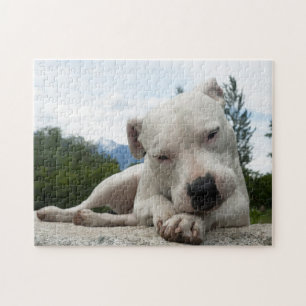 Dogo Argentino  Legpuzzel
