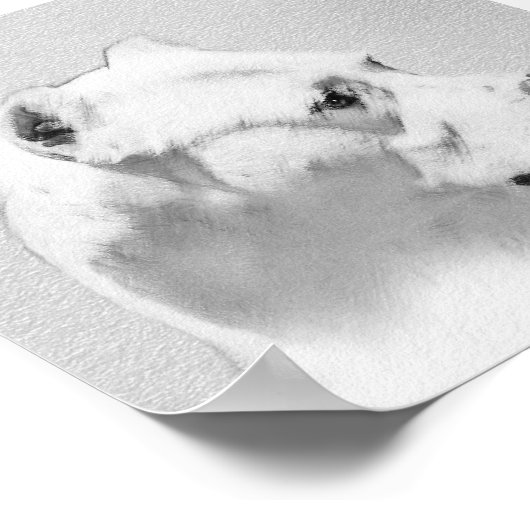 Dogo Argentino schilderen - Oorspronkelijke honden Poster (Hoek)