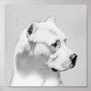 Dogo Argentino schilderen - Oorspronkelijke honden Poster