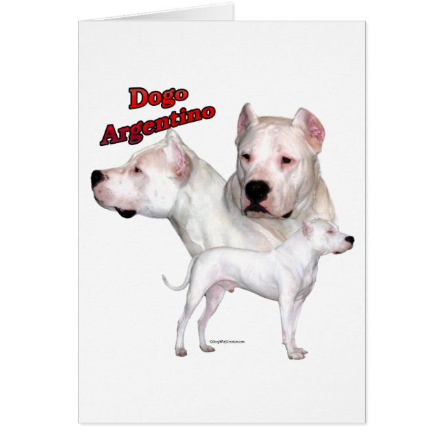 Dogo Argentino Trio 2 (Voorkant)