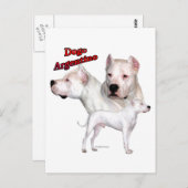 Dogo Argentino Trio 2 Briefkaart (Voorkant / Achterkant)