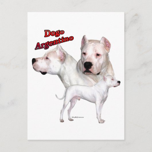Dogo Argentino Trio 2 Briefkaart (Voorkant)