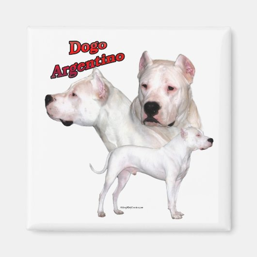 Dogo Argentino Trio 2 - Magneet (Voorkant)